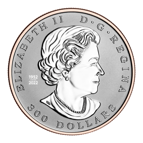 Pièce 1 once de platine La richesse d'un symbole 2024 | Monnaie royale canadienne