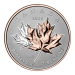 Pièce 1 once de platine La richesse d'un symbole 2024 | Monnaie royale canadienne