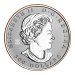 Pièce 1 once de platine La richesse d'un symbole 2024 | Monnaie royale canadienne