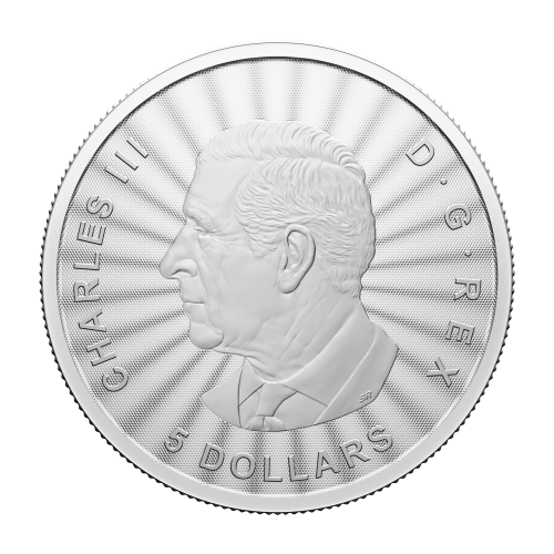 1 oz 2024 The Majestic Polar Bears Silver Coin | Royal Canadian Mint