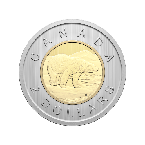 Set of 6 x 2024 Conservation Stories: Northern Leopard Frog Specimen Coins | Royal Canadian Mint