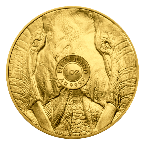 1 oz 2024 Big 5 Series: Elephant Gold Coin | South African Mint