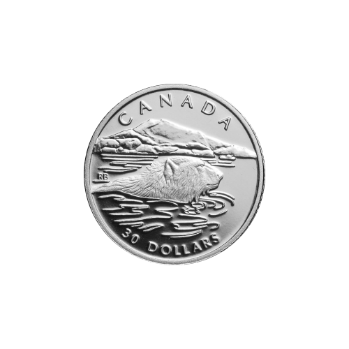 Set of 4 x 1990 Polar Bear Platinum Proof Coin Set | Royal Canadian Mint