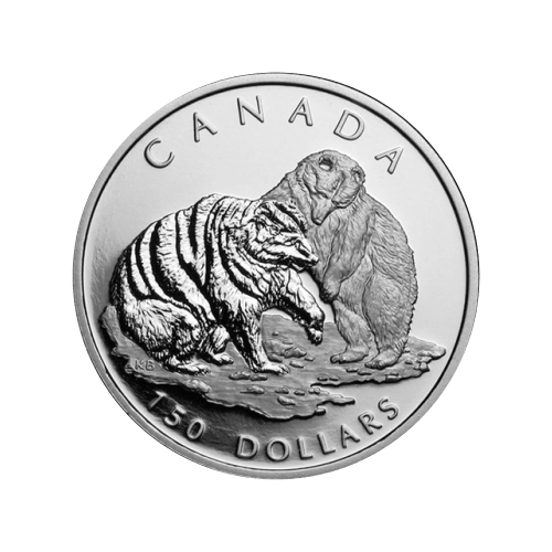 Set of 4 x 2004 Grizzly Bear Platinum Proof Coin Set | Royal Canadian Mint