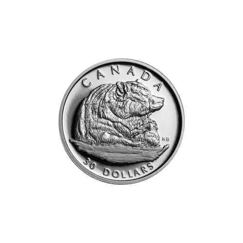 Set of 4 x 2004 Grizzly Bear Platinum Proof Coin Set | Royal Canadian Mint