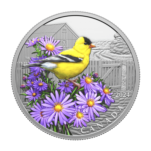 Pièce 1 once d'argent Oiseaux colorés : Chardonneret jaune | Monnaie royale canadienne