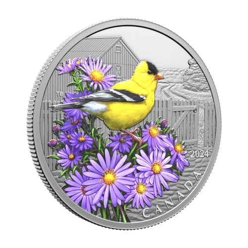 Pièce 1 once d'argent Oiseaux colorés : Chardonneret jaune | Monnaie royale canadienne