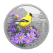 Pièce 1 once d'argent Oiseaux colorés : Chardonneret jaune | Monnaie royale canadienne