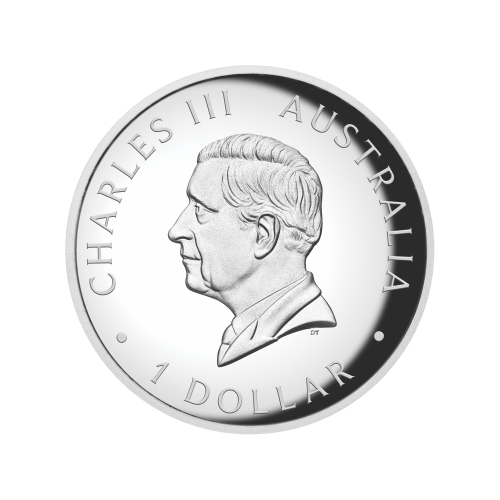 1 oz 2024 Australian Kangaroo High Relief Colourized Proof Silver Coin | Perth Mint