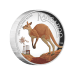 1 oz 2024 Australian Kangaroo High Relief Colourized Proof Silver Coin | Perth Mint