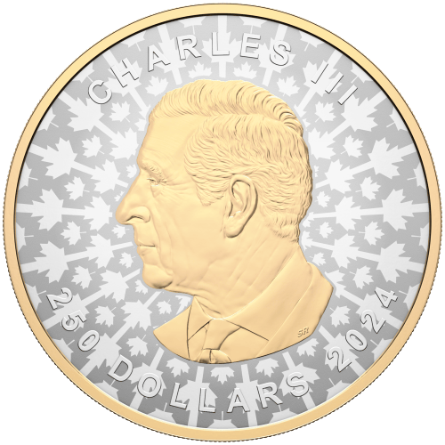 Pièce 1 kilo d'argent Feuille d'érable super incuse 2024 | Monnaie royale canadienne