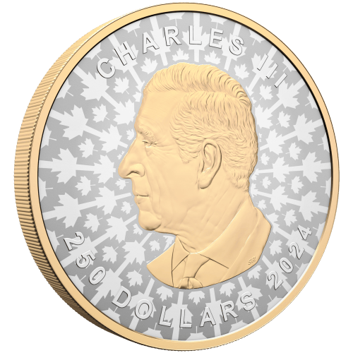 Pièce 1 kilo d'argent Feuille d'érable super incuse 2024 | Monnaie royale canadienne