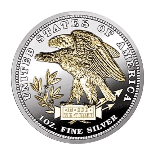 Pièce 1 once d'argent plaqué or Épreuve numismatique Morgan Écolière | The Bradford Exchange