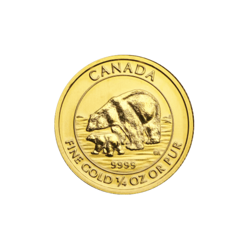 Pièce 1/4 once d'or Ours polaire canadien Année aléatoire | Monnaie royale canadienne