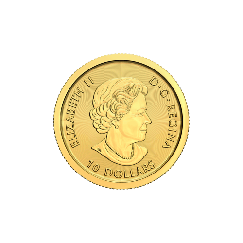 1/4 oz 2021 Redtail Hawk Gold Coin | Royal Canadian Mint