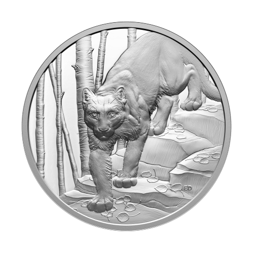 1 oz 2024 Great Hunters: Cougar Ultra High Relief Silver Coin | Royal Canadian Mint