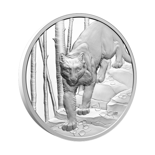 1 oz 2024 Great Hunters: Cougar Ultra High Relief Silver Coin | Royal Canadian Mint