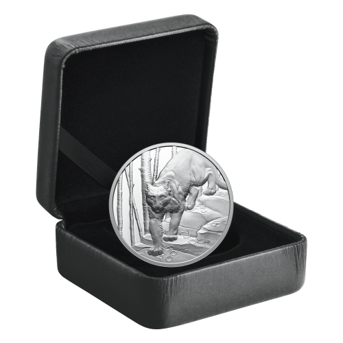 1 oz 2024 Great Hunters: Cougar Ultra High Relief Silver Coin | Royal Canadian Mint
