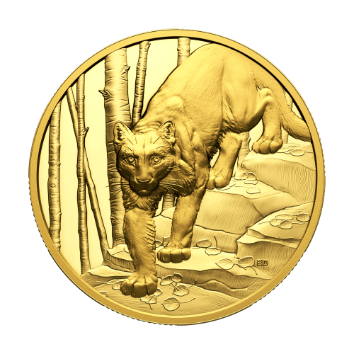 1 oz 2024 Great Hunters: Cougar Ultra High Relief Gold Coin | Royal Canadian Mint