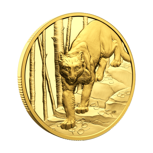1 oz 2024 Great Hunters: Cougar Ultra High Relief Gold Coin | Royal Canadian Mint