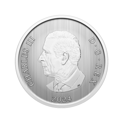 Pièce lenticulaire Sous l'étoile du sapin 50 centimes 2024 | Monnaie royale canadienne