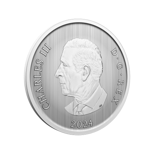 Pièce lenticulaire Sous l'étoile du sapin 50 centimes 2024 | Monnaie royale canadienne