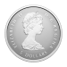 Set of 5 x 2025 60th Anniversary of the Canadian Flag Fractional Silver Coins | Royal Canadian Mint