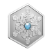 1 oz 2024 Snowflake Shaped Coin | Royal Canadian Mint