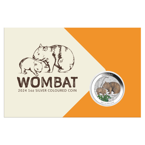Pièce 1 once d'argent coloré Wombat 2024 dans une carte | Monnaie de Perth