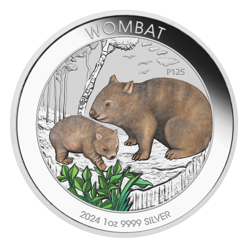 Pièce 1 once d'argent coloré Wombat 2024 dans une carte | Monnaie de Perth
