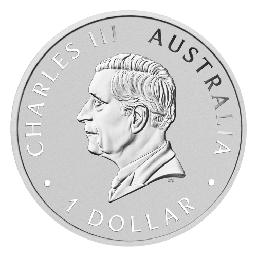 Pièce 1 once d'argent coloré Wombat 2024 dans une carte | Monnaie de Perth