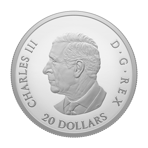1 oz 2024 Remembrance Day Silver Coin | Royal Canadian Mint
