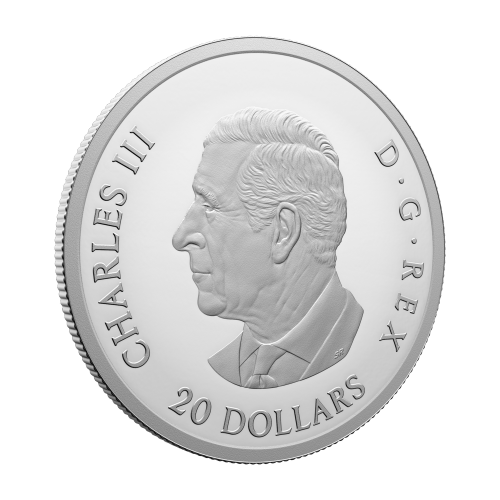 1 oz 2024 Remembrance Day Silver Coin | Royal Canadian Mint