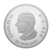 1 oz 2024 Remembrance Day Silver Coin | Royal Canadian Mint