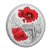 1 oz 2024 Remembrance Day Silver Coin | Royal Canadian Mint
