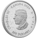 Pièce 5 kilo d'argent Paysage héraldique : Oiseaux du Canada 2024 | Monnaie royale canadienne