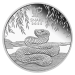 Ensemble de 3 pièces d'argent épreuve numismatique Année lunaire du Serpent 2025 | Monnaie de Perth