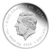 Pièce 1 once d'argent coloré Épreuve numismatique 25e anniversaire de Bob l'éponge : Bob l'éponge et ses amis 2024 | Monnaie de Perth