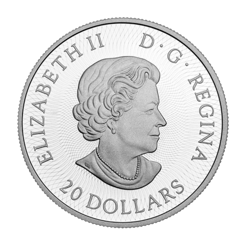 1 oz 2016 Canadian Maple Leaf Maze Silver Coin | Royal Canadian Mint