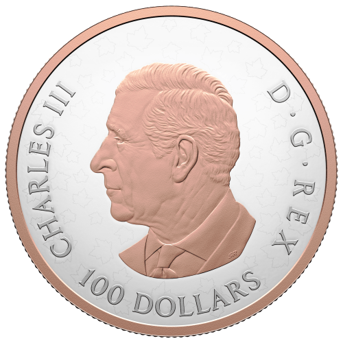 Pièce 10 onces d'argent plaqué or rose Épreuve numismatique Feuille d'érable brillantes 2025 | Monnaie royale canadienne