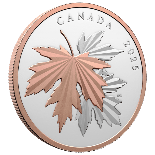 Pièce 10 onces d'argent plaqué or rose Épreuve numismatique Feuille d'érable brillantes 2025 | Monnaie royale canadienne