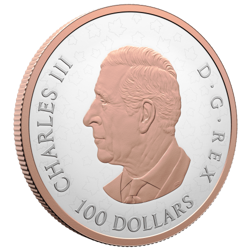 Pièce 10 onces d'argent plaqué or rose Épreuve numismatique Feuille d'érable brillantes 2025 | Monnaie royale canadienne