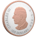 Pièce 10 onces d'argent plaqué or rose Épreuve numismatique Feuille d'érable brillantes 2025 | Monnaie royale canadienne