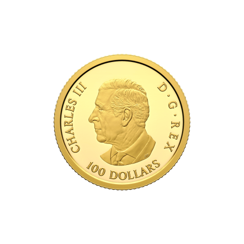 1/4 oz 2025 80th Anniversary of the End of the Second World War in Europe Proof Gold Coin | Royal Canadian Mint