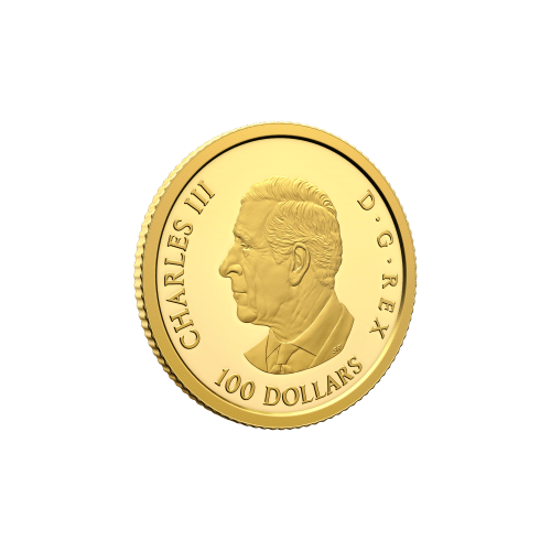 1/4 oz 2025 80th Anniversary of the End of the Second World War in Europe Proof Gold Coin | Royal Canadian Mint