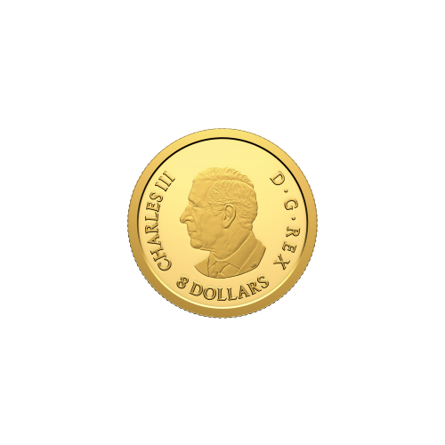 1/20 oz 2025 Water Dragon Proof Gold Coin | Royal Canadian Mint