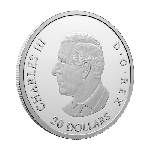 1 oz 2025 80th Anniversary of the End of the Second World War in Europe Proof Silver Coin | Royal Canadian Mint