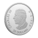 1 oz 2025 80th Anniversary of the End of the Second World War in Europe Proof Silver Coin | Royal Canadian Mint