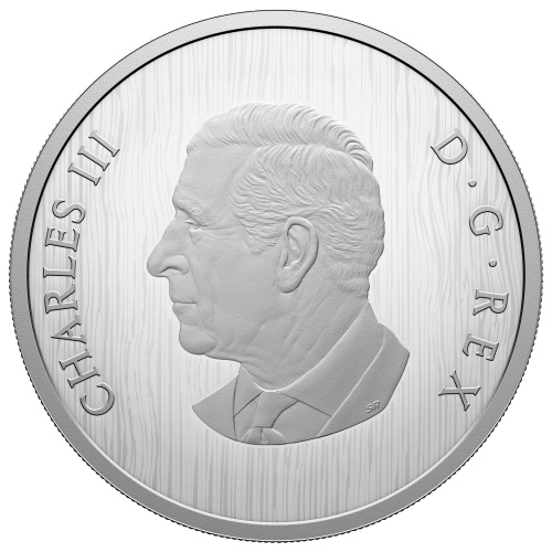 Pièce en argent Épreuve numismatique Ours héraldique 2025 | Monnaie royale canadienne