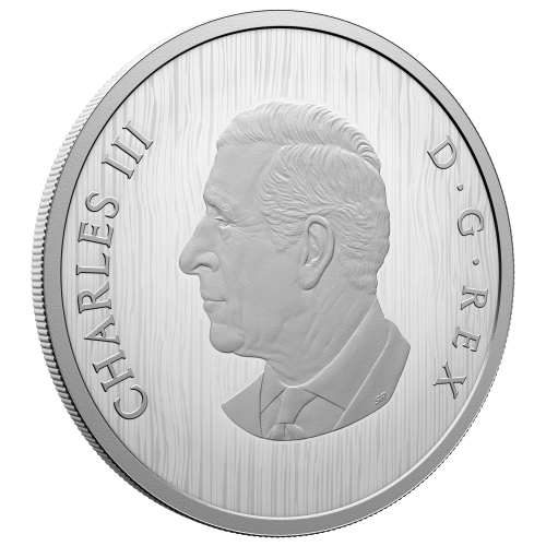 Pièce en argent Épreuve numismatique Ours héraldique 2025 | Monnaie royale canadienne